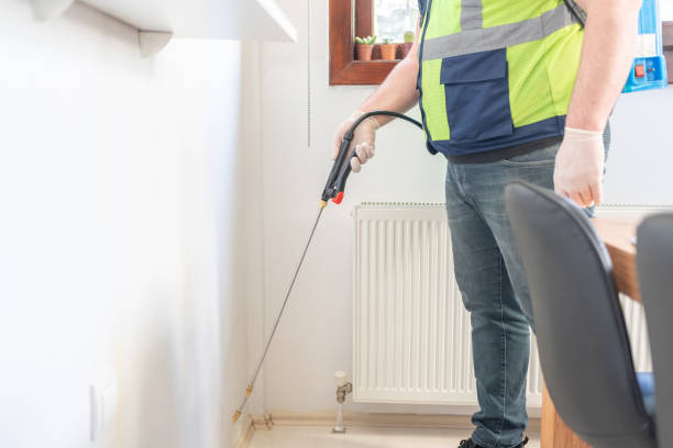 Best Termite Control Services  in Terra Bella, CA