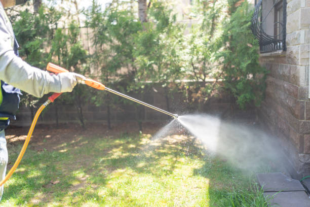Best Bed Bug Extermination  in Terra Bella, CA